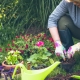 Gardening tips from Cheltenham Chiropractic Clinic